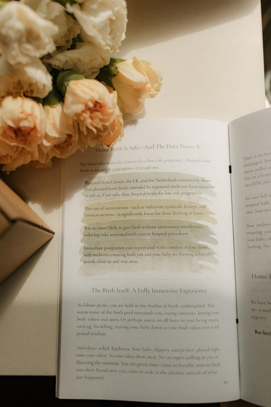 The Midwife Box – Prenatal & Birth Edition